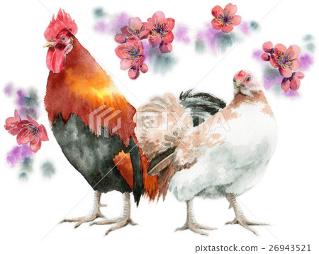 Chabo couple original picture plum background 26943521