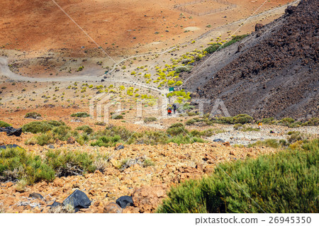Teide National Park, Tenerife, Canary Island Teide National Park, Tenerife, Canary Island 26945350