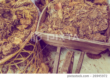 elephant poop on cart . 26945972