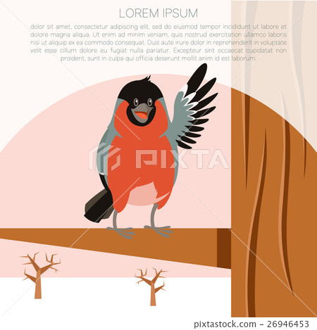 Happy Bullfinch on the Tree winter flat background 26946453