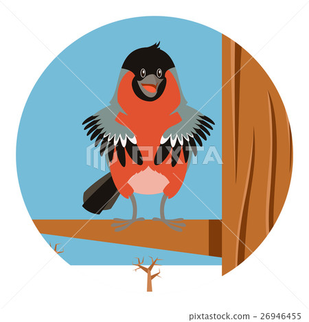 Happy Bullfinch on the Tree winter flat background 26946455