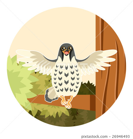Happy Falcon on the Tree flat background Happy Falcon on the Tree flat background 26946493