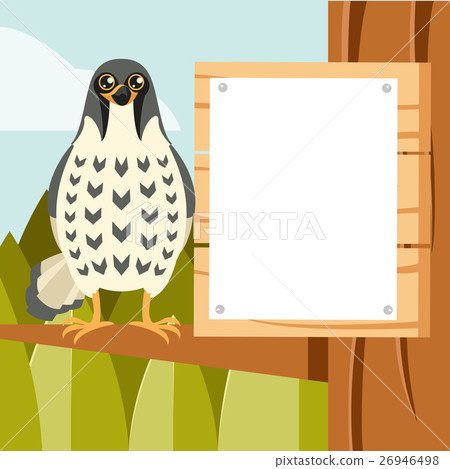Happy Falcon on the Tree flat background 26946498