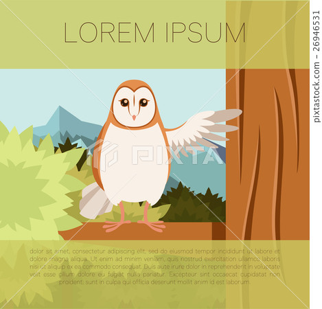 Screech-Owl on the flat tree background 26946531