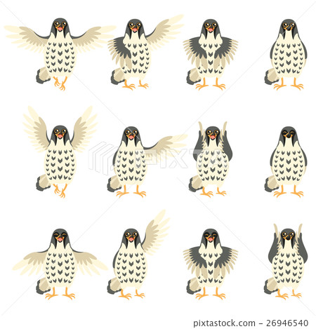 Set of Falcon Flat icons 26946540