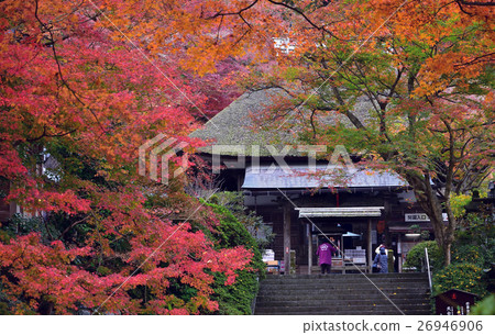 Autumn leaves of Taikoji Temple Autumn leaves of Taikoji Temple 26946906