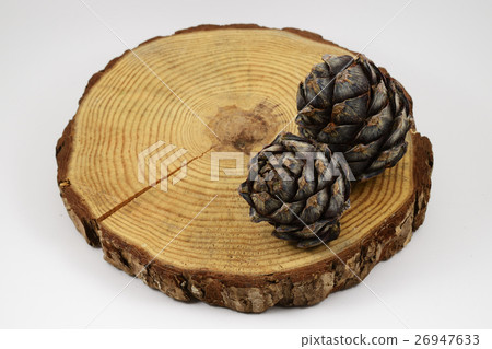 wooden circle with a split cut and two pine cones 26947633