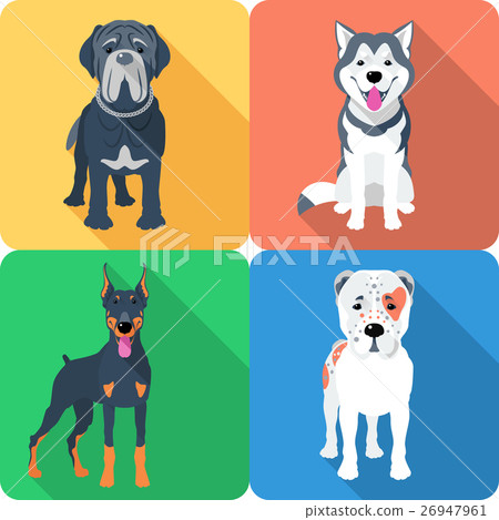 dog Neapolitan Mastiff icon flat design dog Neapolitan Mastiff icon flat design 26947961