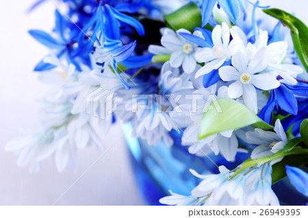 Nature stock images Nature stock images 26949395