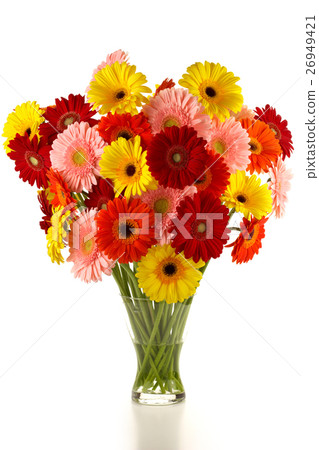 Nature stock images 26949421