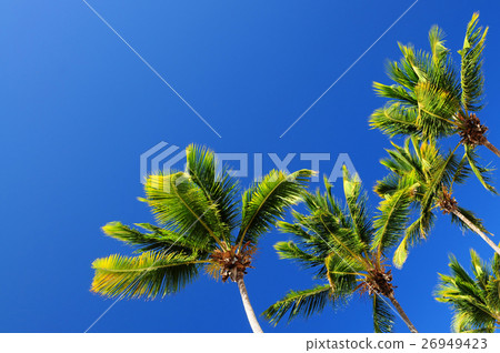 Nature stock images 26949423