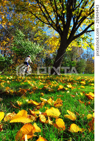 Nature stock images Nature stock images 26949443