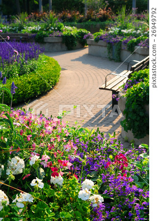 Nature stock images 26949792