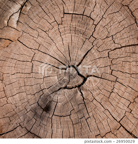 old wooden texture 26950029