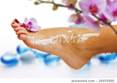 sports and recreation 26950060