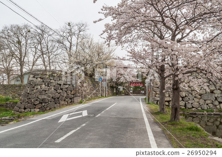Hikone城堡funer嘴門的風景在春天 Hikone城堡funer嘴門的風景在春天 26950294