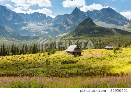 Tatra Mountains national park in Zakopane Tatra Mountains national park in Zakopane 26950401