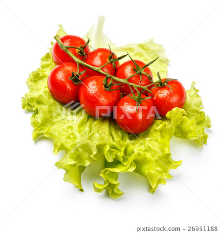 Plum tomatoes with leaves on white background Plum tomatoes with leaves on white background 26951188