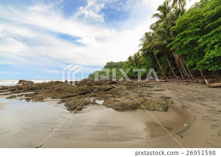 Rocky beach and trees Costa Rica Rocky beach and trees Costa Rica 26951598