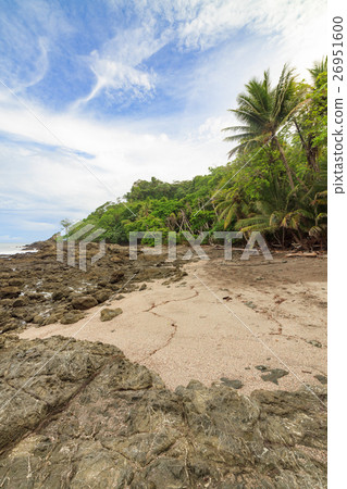 Rocky beach and trees Costa Rica Rocky beach and trees Costa Rica 26951600