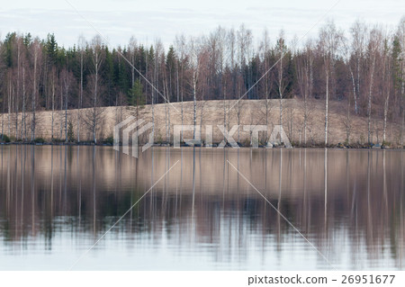 Tree reflection on lake Tree reflection on lake 26951677