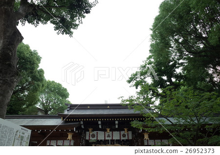 Kushida Shrine _ Hakata Kushida Shrine _ Hakata 26952373