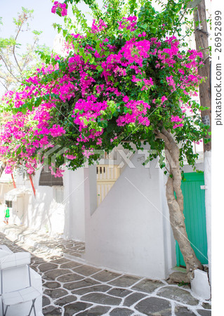 The narrow streets with blue balconies, stairs The narrow streets with blue balconies, stairs 26952899