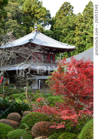 Ii family bodaiji Ryutanji Ii Naoto Ii family bodaiji Ryutanji Ii Naoto 26953348