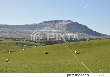 Mountains of Yorkshire Dale 26953836