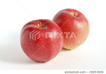 Apple(世界上最好的) Apple(世界上最好的) 26953846