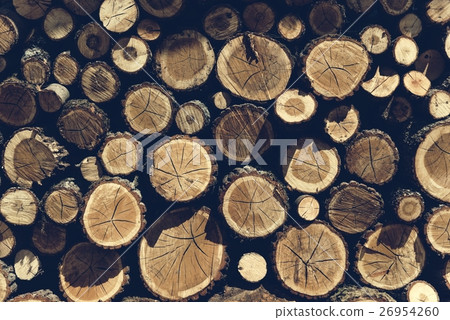Lumber TImber Trunk Firewood Woodpile Logging Concept Lumber TImber Trunk Firewood Woodpile Logging Concept 26954260