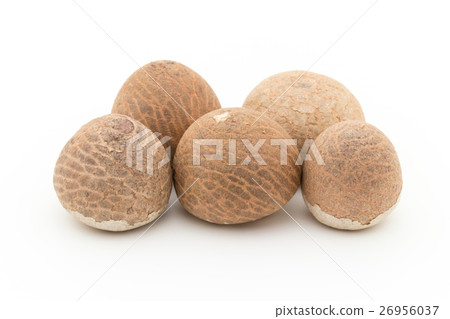Bottle fruit: betel nuts 26956037