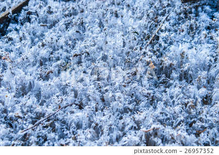 Simovassilla 26957352