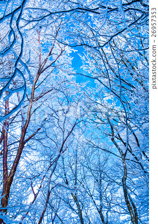 霜和藍天 26957353