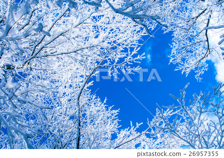 Rime and blue sky 26957355