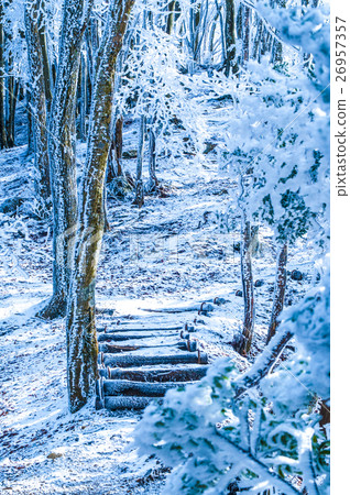 Snow climbing road image 26957357