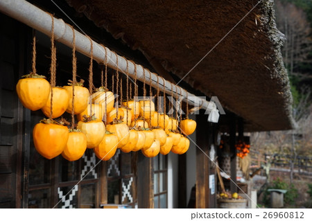 November Fruit persimmon · Hanging persimmon 40 The village of Hayashi · Netsuko 26960812