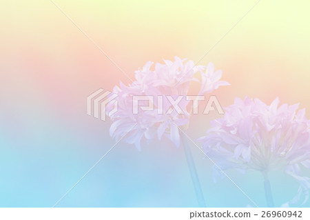 beautiful flowers beautiful flowers 26960942