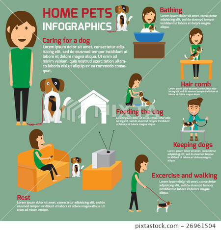 caring about pets dog. 26961504