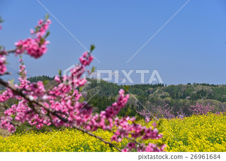 Tangea鄉的春天風景 Tangea鄉的春天風景 26961684