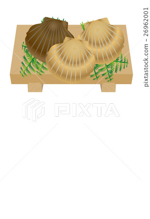  Scallop 26962001