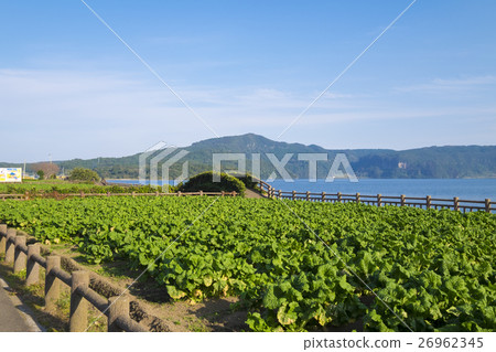 Ikeda lake Kagoshima prefecture 26962345