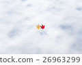 Red and yellow leaves on snow 26963299