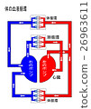 Blood circulation in the human body / work of the heart 26963611
