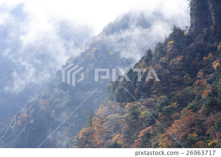 Tenkawa village Mitarai Valley autumn leaves after the rain 26963717