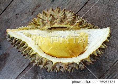 Yellow Durian 26964424