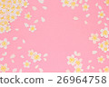 Cherry Blossoms   26964758