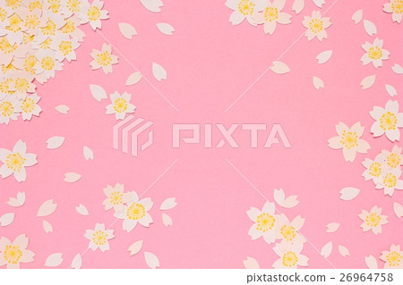 Cherry Blossoms   26964758