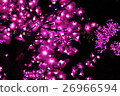 Hiroshima Dreaming 2016 Pink 26966594