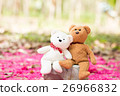 lovely teddy brown and white 26966832